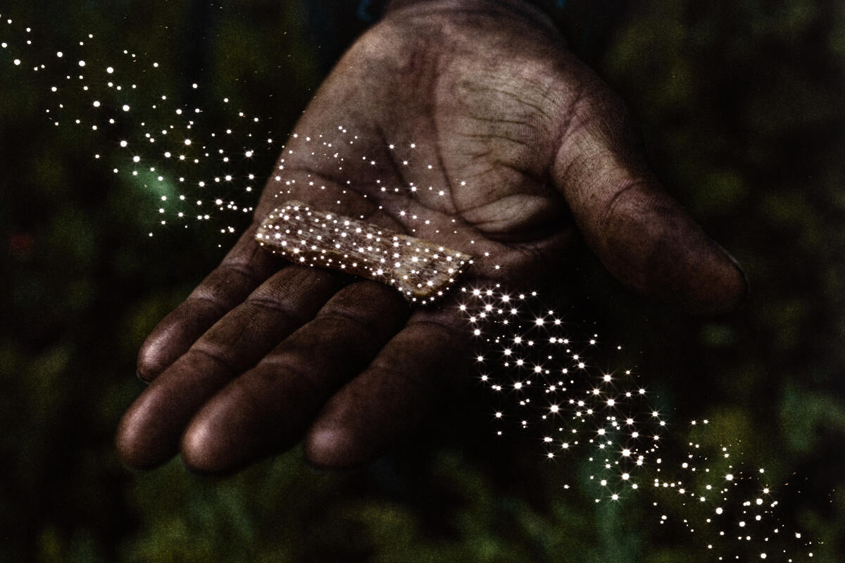 Header Image